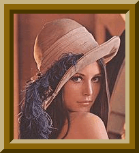 display=image&dd=D&image=lenna.gif&incr=T&frgb=8B6508&ft=20